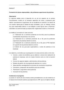 Programa 27. Prácticas en empresas  Medida 87 Formación de tutores empresariales y de profesores supervisores de prácticas