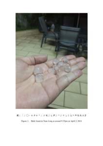 圖二：二○一四年四月二日晚上九時三十五分左右在元朗發現冰雹 Figure 2. Hails found in Yuen Long at around 9.35pm on April 2, 2014  