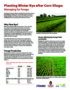 Planting Winter Rye after Corn Silage: Managing for Forage Jim Stute, University of Wisconsin (UW) Extension, Rock County Kevin Shelley, UW Nutrient and Pest Management Program Dwight Mueller, UW Arlington Agricultural R