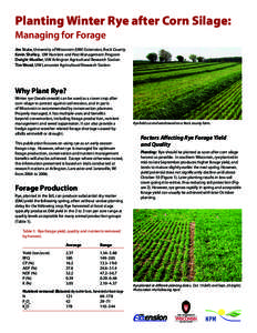 Crops / Staple foods / Cereals / Agricultural soil science / Agronomy / Alfalfa / Rye / Cover crop / Agriculture in the United Kingdom / Agriculture / Food and drink / Land management