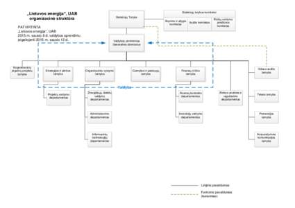 Stebėtojų tarybos komitetai:  „Lietuvos energija“, UAB organizacinė struktūra  Stebėtojų Taryba