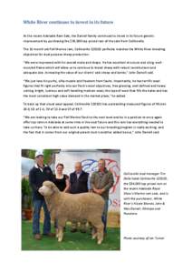 White River continues to invest in its future At the recent Adelaide Ram Sale, the Daniell family continued to invest in its future genetic improvement by purchasing the $34,000 top priced ram of the sale from Collinsvil