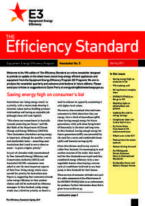 Efficiency_Standard Masthead