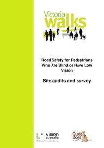 Road Safety for Pedestrians Who Are Blind or Have Low Vision Site audits and survey