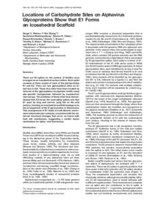 Cell, Vol. 105, 127–136, April 6, 2001, Copyright 2001 by Cell Press  Locations of Carbohydrate Sites on Alphavirus Glycoproteins Show that E1 Forms an Icosahedral Scaffold Sergei V. Pletnev,*§ Wei Zhang,*§