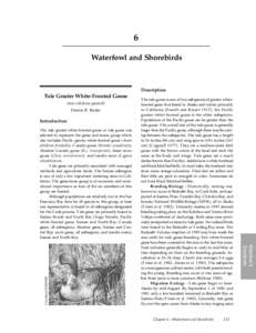 Suisun Marsh / Waterfowl hunting / Geography of the United States / Canada Goose / Greater White-fronted Goose / Ornithology / San Luis National Wildlife Refuge Complex / Yolo Bypass Wildlife Area / Geese / Geography of California / San Francisco Bay