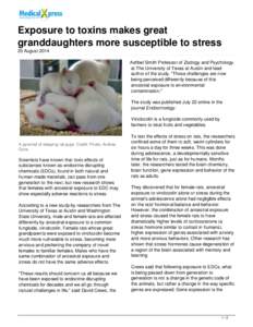 Exposure to toxins makes great granddaughters more susceptible to stress