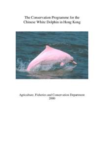 Zoology / Asia / Dolphin / Hong Kong Dolphin Conservation Society / Ocean Park Conservation Foundation Hong Kong / Lantau Island / Humpback dolphin / Oceanic dolphins / Fauna of Asia / Chinese white dolphin