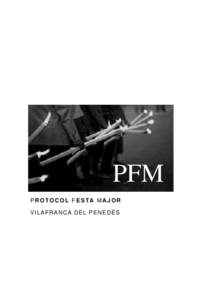 Microsoft Word - protocol FESTA MAJOR.doc