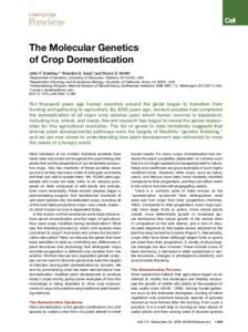 Leading Edge  Review The Molecular Genetics of Crop Domestication John F. Doebley,1,* Brandon S. Gaut,2 and Bruce D. Smith3