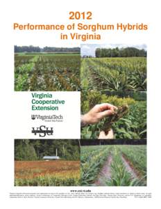 2012 Performance of Sorghum Hybrids in Virginia www.ext.vt.edu Virginia Cooperative Extension programs and employment are open to all, regardless of race, color, national origin, sex, religion, age, disability, political