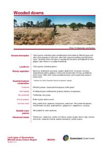 Northern Territory / Soil / Grazing / Human geography / States and territories of Australia / Tropical and subtropical grasslands /  savannas /  and shrublands / Agriculture / Barkly Tableland