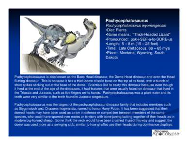 Stygimoloch / Dracorex / Stegosauria / Dinosaur / Pachycephalosaurs / Pachycephalosaurus / Pachycephalosauria