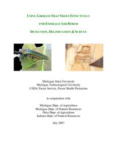 Medicinal plants / Plant physiology / Curculionidae / Emerald ash borer / Girdling / Fraxinus americana / Bark beetle / Phloem / Bark / Flora of the United States / Woodboring beetles / Forestry