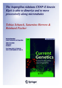 The Aspergillus nidulans CENP-E kinesin KipA is able to dimerize and to move processively along microtubules Tobias Schunck, Saturnino Herrero & Reinhard Fischer