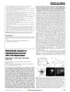 Nervous system / Neurobiology / Membrane biology / Astrocyte / Schaffer collateral / Joro toxin / Glutamate receptor / Inhibitory postsynaptic potential / Neuron / Biology / Neuroscience / Neurophysiology