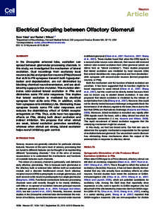 Neuron  Article Electrical Coupling between Olfactory Glomeruli Emre Yaksi1 and Rachel I. Wilson1,* 1Department of Neurobiology, Harvard Medical School, 220 Longwood Avenue, Boston MA, 02115, USA
