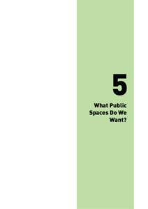 5 What Public Spaces Do We Want?  5.1 THE ISSUES