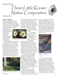 Feature Article  Three Little Known Native Composites  By Beverly Fitts