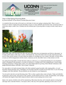 Time to Plant Spring Flowering Bulbs By Dawn Pettinelli, UConn Home & Garden Education Center A wonderful fall activity that will reward you with loads of color next spring is planting bulbs. There is such a diversity of
