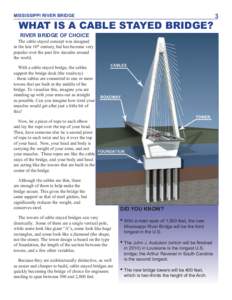 MISSISSIPPI RIVER BRIDGE  WHAT IS A CABLE STAYED BRIDGE? RIVER BRIDGE OF CHOICE The cable stayed concept was designed in the late 16th century, but has become very