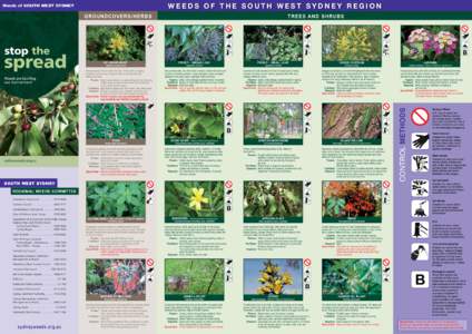 Weeds of the South West Sydney Region  Weeds of SOUTH WEST SYDNEY groundcovers/her b s