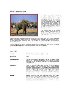 Etosha National Park One of the greatest game parks in Africa – and one of the oldest – is also