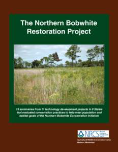 The Northern Bobwhite Restoration Project