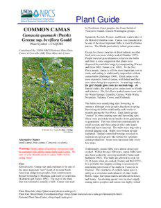 Plant Guide COMMON CAMAS Camassia quamash (Pursh)