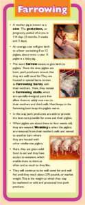 Farrowing •	 A mother pig is known as a sow.  The gestation, or pregnancy, period of a sow is 114 days (3 months, 3 weeks and 3 days).