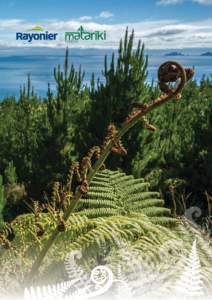 Achieving Excellence Rayonier Matariki Forests is the third largest forest company in New Zealand with approximately 130,000 hectares of plantations around the country. Rayonier Matariki Forests provides a full range of