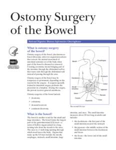 Ostomy Surgery of the Bowel National Digestive Diseases Information Clearinghouse What is ostomy surgery of the bowel?