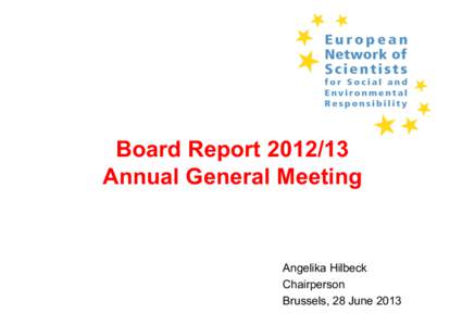 Board ReportAnnual General Meeting Angelika Hilbeck Chairperson Brussels, 28 June 2013