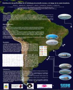 Distribución en profundidad de la ictiofauna de arrecife rocoso, a lo largo de la costa brasileña. Silveira M. 1