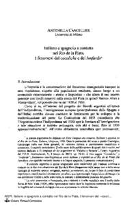 Italiano e spagnolo a contatto nel Río de la Plata, I fenomeni del «cocoliche» e del «lunfardo»