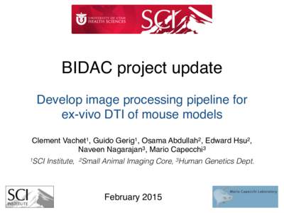 BIDAC project update Develop image processing pipeline for ex-vivo DTI of mouse models Clement Vachet1, Guido Gerig1, Osama Abdullah2, Edward Hsu2, ! Naveen Nagarajan3, Mario Capecchi3! 1SCI