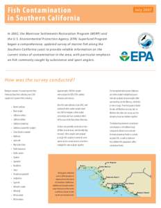 Matter / Sciaenidae / Polychlorinated biphenyl / Soil contamination / White croaker / Mercury / Rancho Palos Verdes /  California / Palos Verdes / Montrose Chemical Corporation of California / Geography of California / Chemistry / Endocrine disruptors