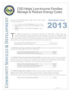 COMMUNITY SERVICES & DEVELOPMENT  CSD Helps Low-Income Families Manage & Reduce Energy Costs Low-income households spend a larger share of their income on home energy costs: