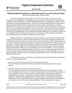 Making Replant Decisions for Slug Damaged Corn and Soybean Stands Brian Jones, Extension Agent, Augusta County Slugs cause significant economic injury to corn and soybean crops in Virginia every year. Symptoms of slug fe
