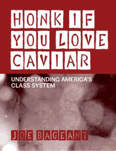 Honk if you love caviar Understanding America’s class system