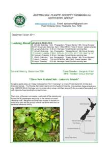 Biology / Bulbine / Stylidium / Kennedia / Plant / Eucalyptus / Flower / Eudicots / Pollination / Botany