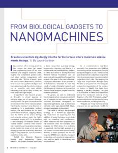 From Biological Gadgets to  Nanomachines Brandeis scientists dig deeply into the fertile terrain where materials science meets biology. \\ By Laura Gardner