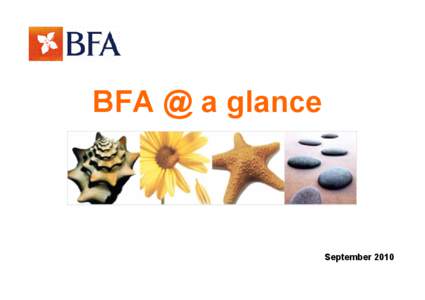 Microsoft PowerPoint - BFA_at_a_glance_actualizado_ing_Setembro_2010  (6).ppt