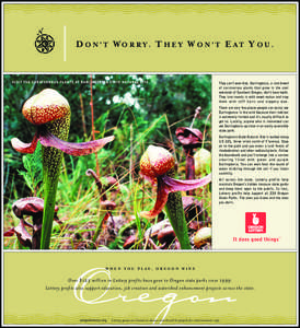 D O N ’ T WO R RY. T H EY W O N ’ T E AT Y OU .  VISIT THE CARNIVOROUS PLANTS AT DARLINGTONIA STATE NATURAL SITE. They can’t even bite. Darlingtonia, a rare breed of carnivorous plants that grow in the cool