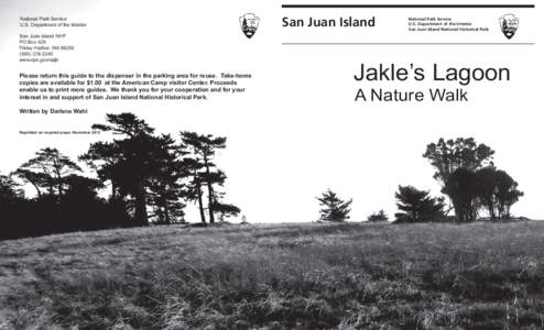 Tree / Botany / San Juan Islands / San Juan /  Argentina / Biology / Flora of the United States / Moss / Douglas-fir