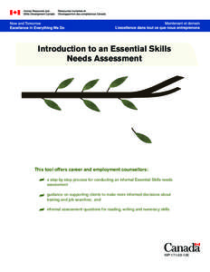 Introduction to an Essential Skills Needs Assessment