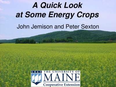 A Quick Look at Some Energy Crops John Jemison and Peter Sexton Ideal Crop Characteristics •