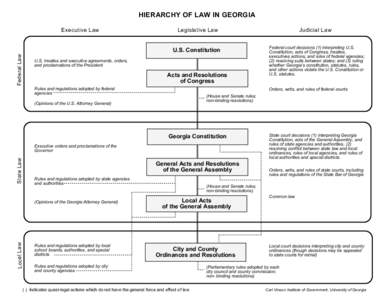 HIERARCHY OF LAW IN GEORGIA Executive Law Legislative Law  Federal Law