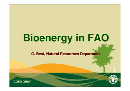 Bioenergy in FAO G. Best, Natural Resources Department COFO 2007  IBEP is FAO’s overall