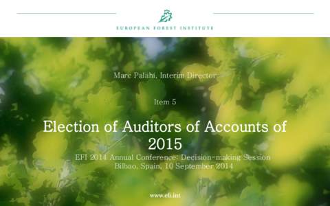 Marc Palahí, Interim Director  Item 5 Election of Auditors of Accounts of 2015